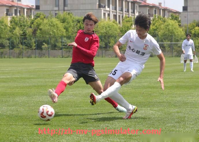 PG电子在线试玩入口-意甲禁止转会巴西球员的政策及影响分析