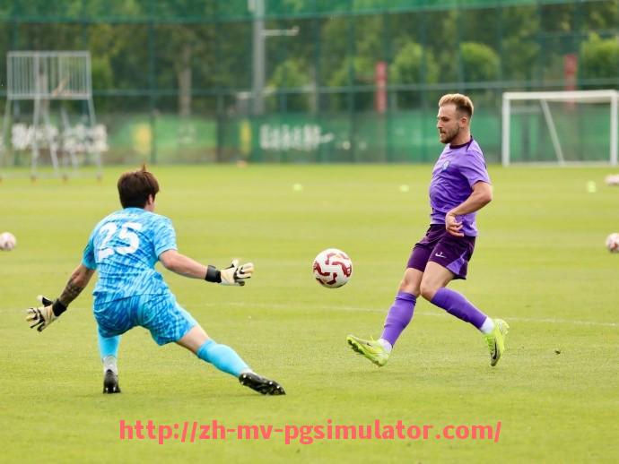 PG电子在线试玩入口-法甲主场胜率分析报告及主客场差异数据解读