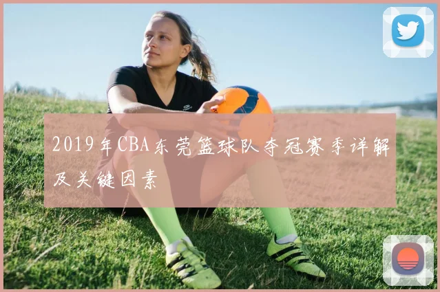 2019年CBA东莞篮球队夺冠赛季详解及关键因素