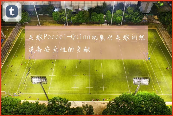 足球Peccei-Quinn机制对足球训练设备安全性的贡献