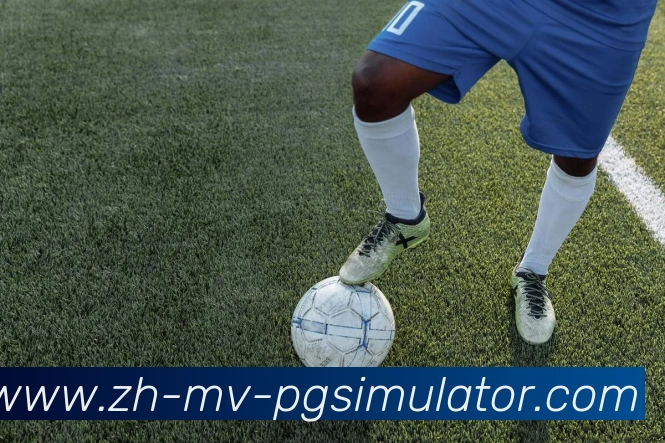 PG模拟器服务体系