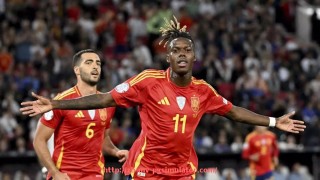 PG电子在线试玩入口-法甲外援市场调研报告及其对俱乐部商业决策的支持